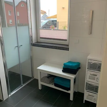 seestern Mücheln