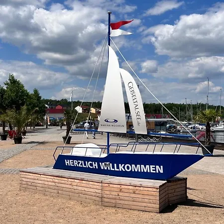 Seestern Links Buechel